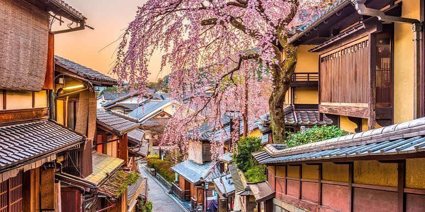 Kirsebærblomstring i Higashiyama-distriktet i Kyoto