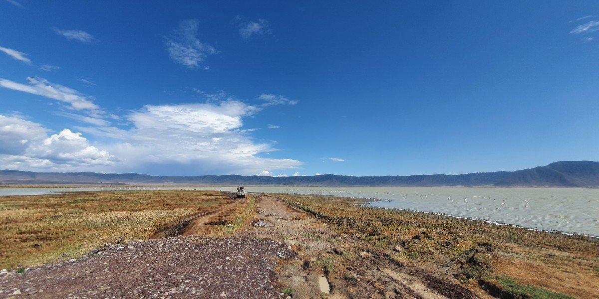 Ngorongoro