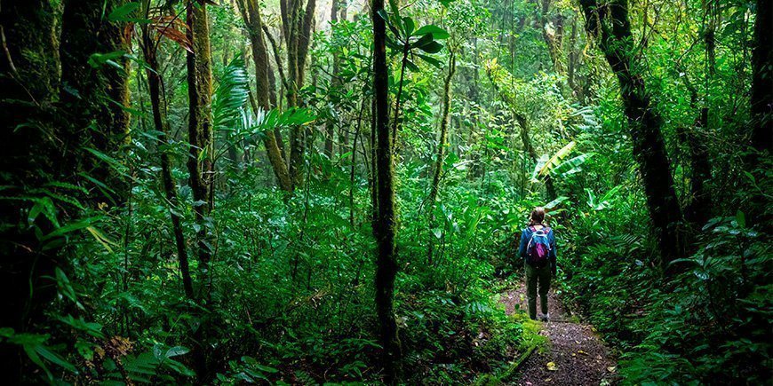 Pige går gennem Monteverde Cloud Forest i Costa Rica