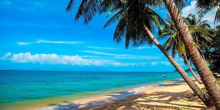 Palmetræ på Mae Nam-stranden på Koh Samui i Thailand.