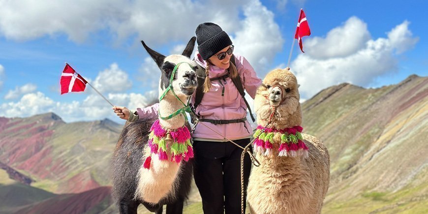 TourCompass-kollaga Iida står med to flag og alpaka på toppen af rainbow mountain i Peru.