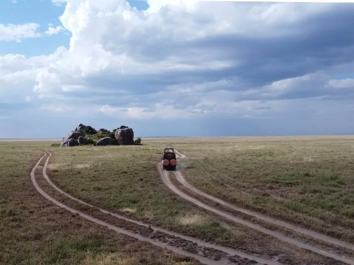 Natur & safari i det nordlige Tanzania