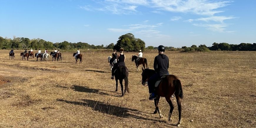 Hesteridning i Pantanal i Brasilien