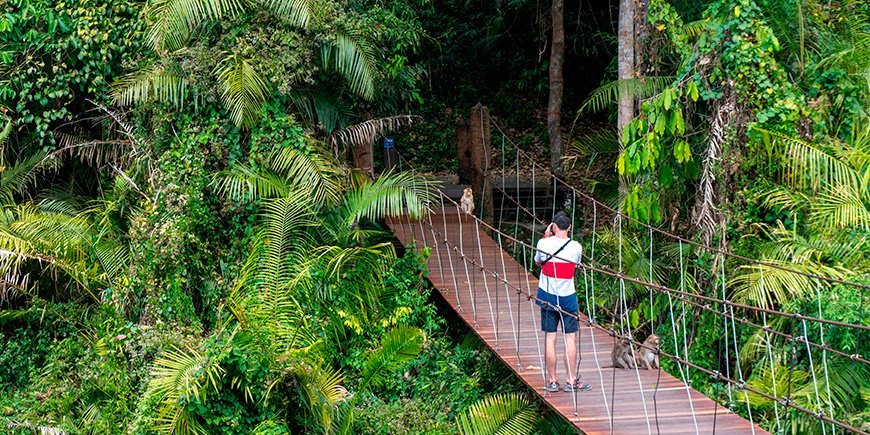 Mand på bro i Khao Yai Nationalpark