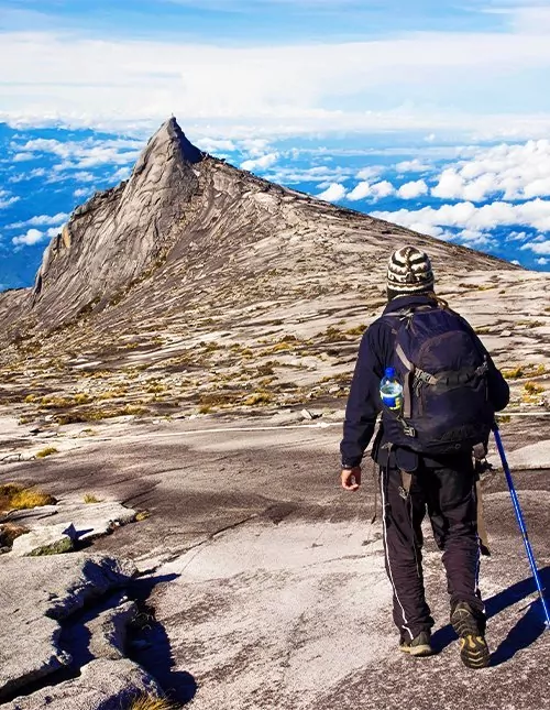 Dyreliv, Mt. Kinabalu-trek & badeferie på Gaya Island