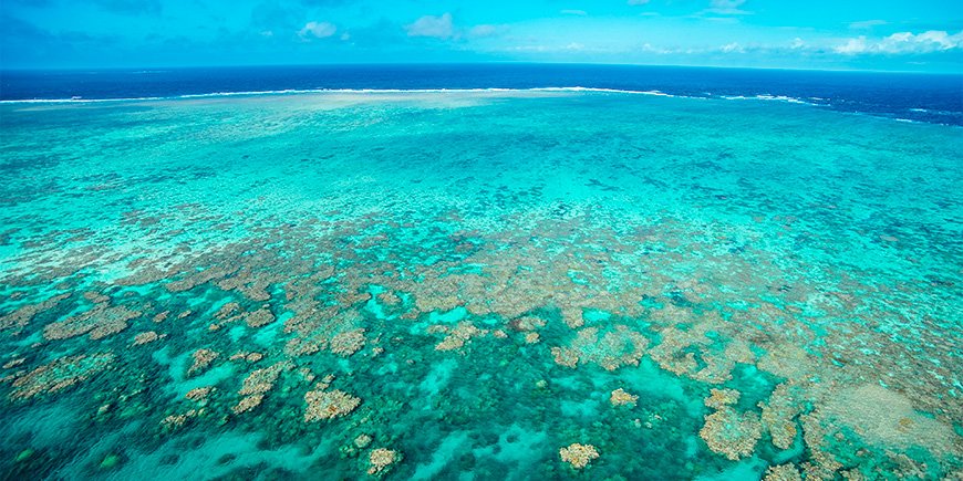 Udsigt over Great Barrier Reef nær Cairns i Australien