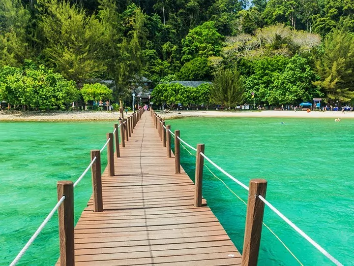 Dyreliv, Mt. Kinabalu-trek & badeferie på Gaya Island